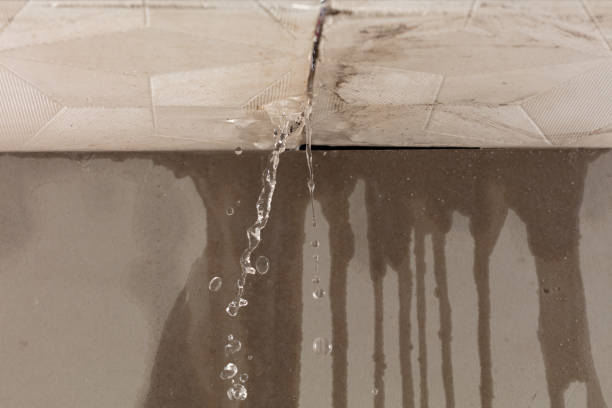 Professional Water Damage Repair technician working in Rocky Point, WA